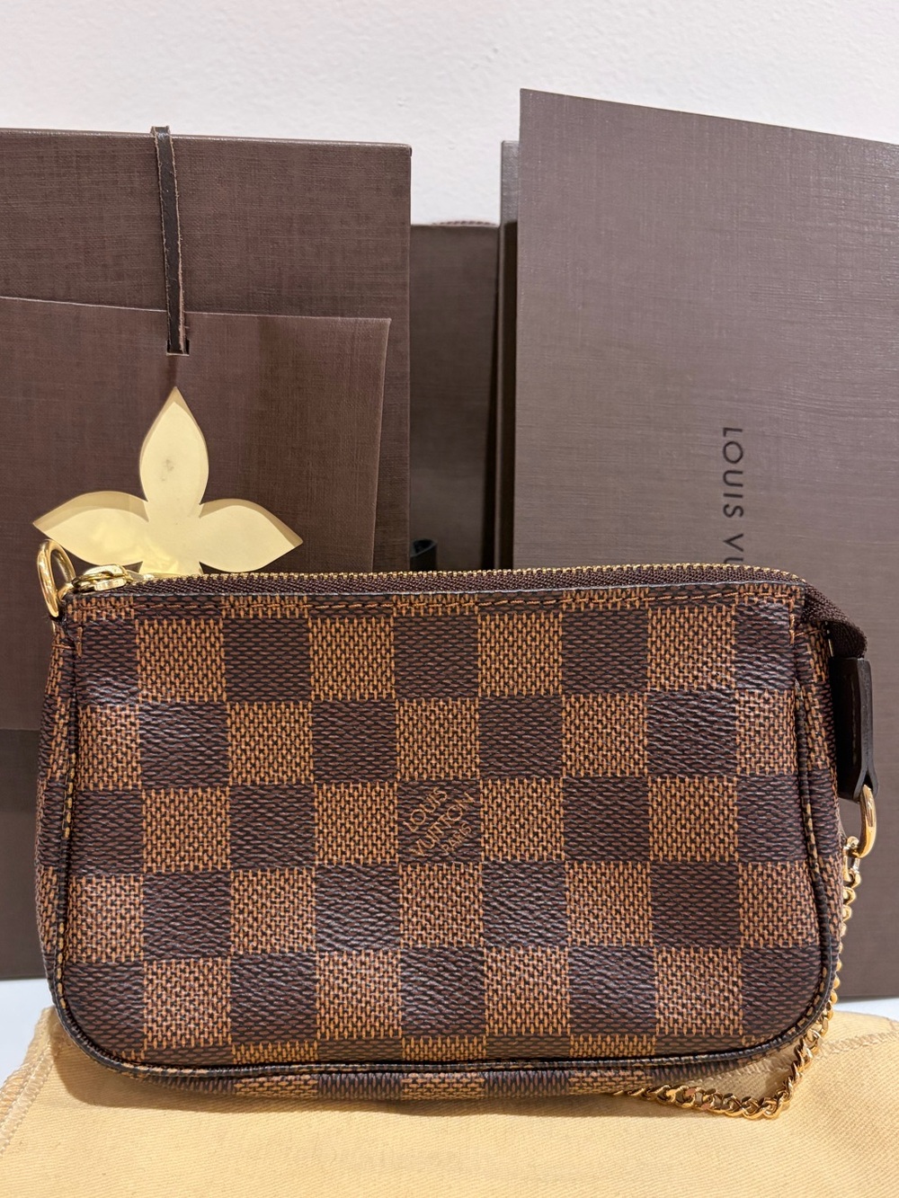 Louis Vuitton Mini Pochette